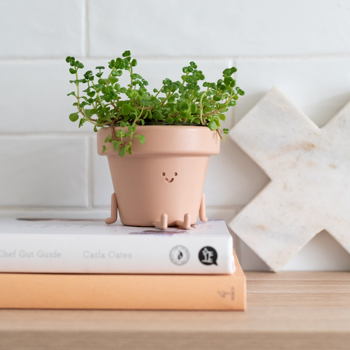 Nicky: Legs Out Plant Pot