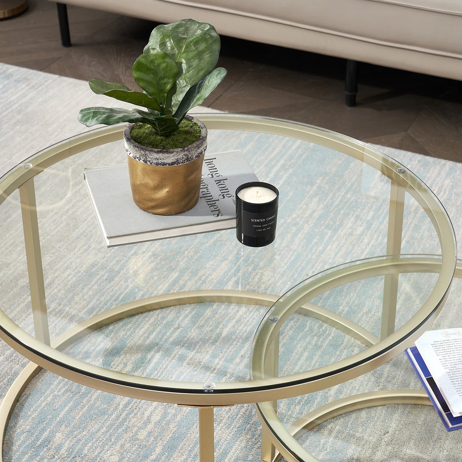 2 in 1 Iron Coffee Table